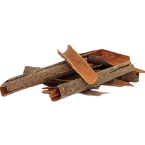 Cinnamon (Daruchini) Whole 100 gm-PV-7.5